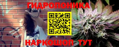 индика Будённовск