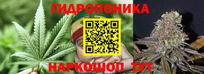 дмт Бузулук