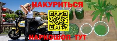 индика Будённовск