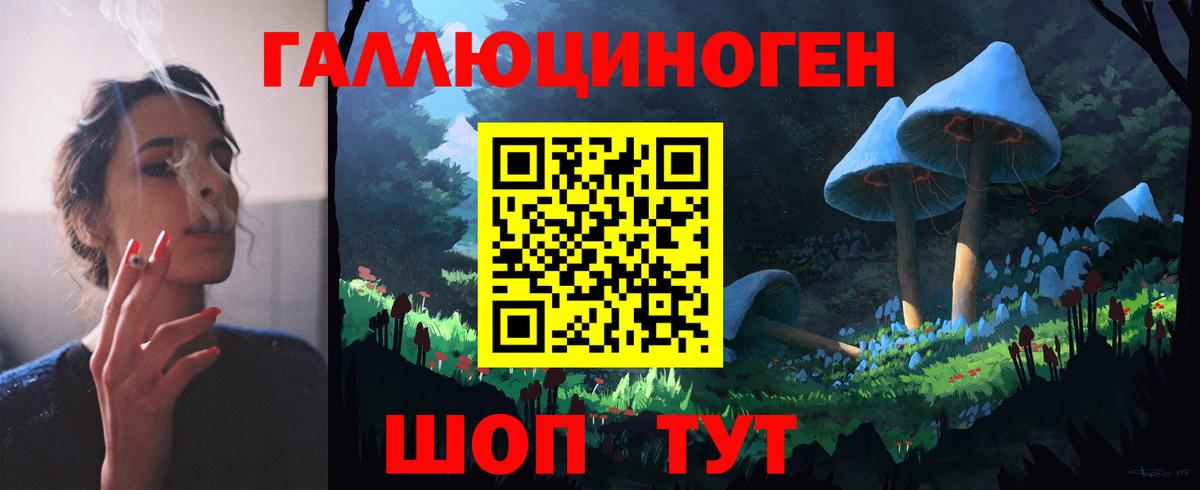 Галлюциногенные грибы Psilocybe Менделеевск